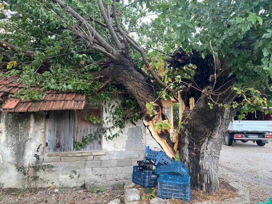 Antalya’da Çıkan Hortum Ev Ve Seralara Zarar Verdi