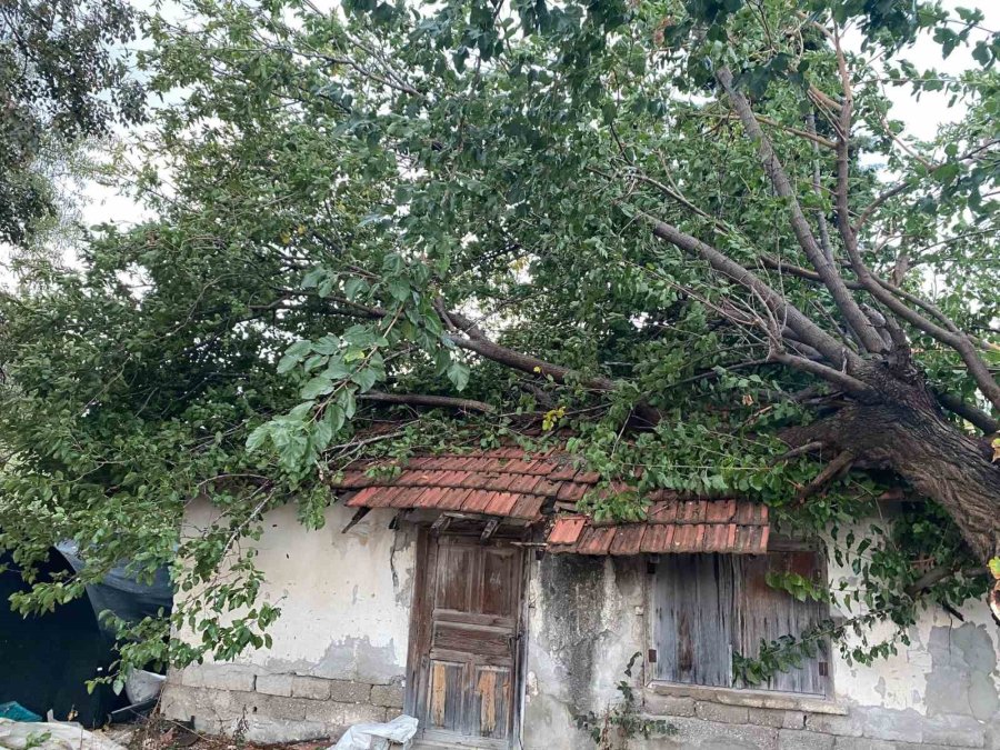 Antalya’da Çıkan Hortum Ev Ve Seralara Zarar Verdi