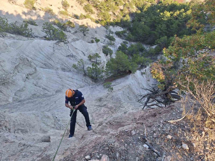 Yamaca Sıkışan Keçi Afad Ekiplerince Kurtarıldı