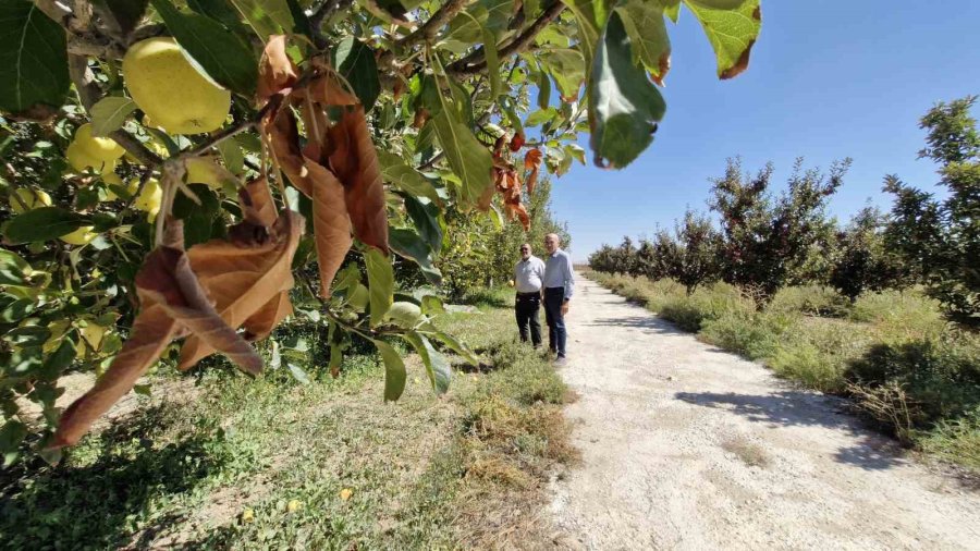 Kuyulardan Tuzlu Su Çıkması Çiftçileri Tedirgin Etti