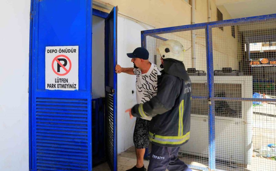 Bodrum Katta Çıkan Yangın Sonrası Yavru Kedi Alarmı