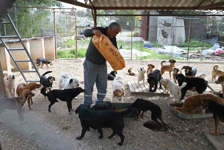 Kemer Belediyesi Mama Üretim Tesisini Açıyor