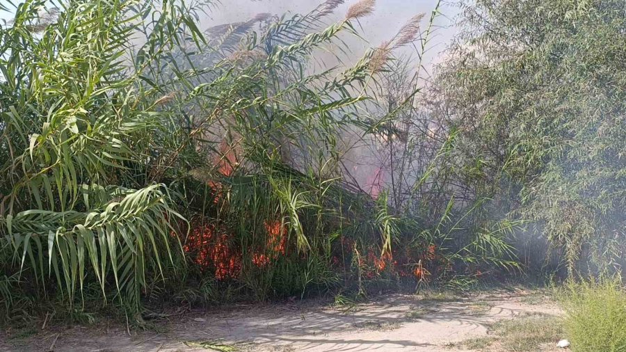 Manavgat’ta Kargılık Alanda Çıkan Yangın Söndürüldü