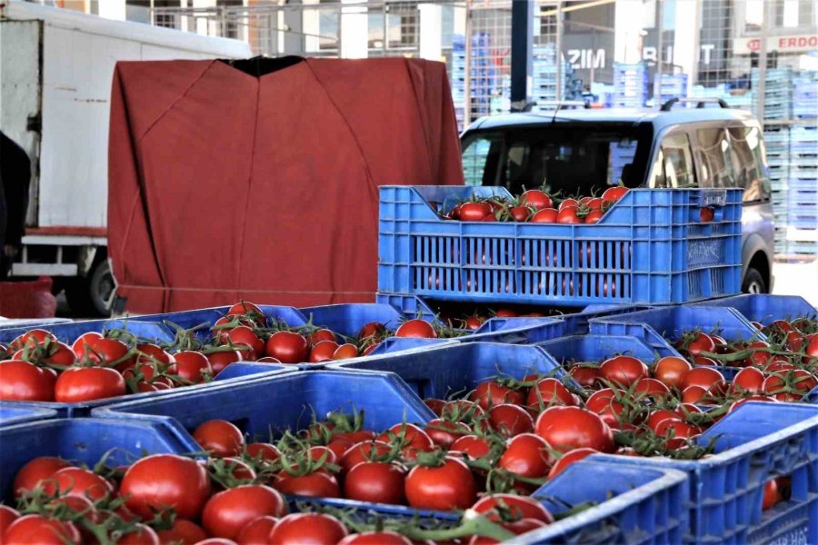 Antalya’da Domatesin Miktarı Düştü, Fiyatı Arttı