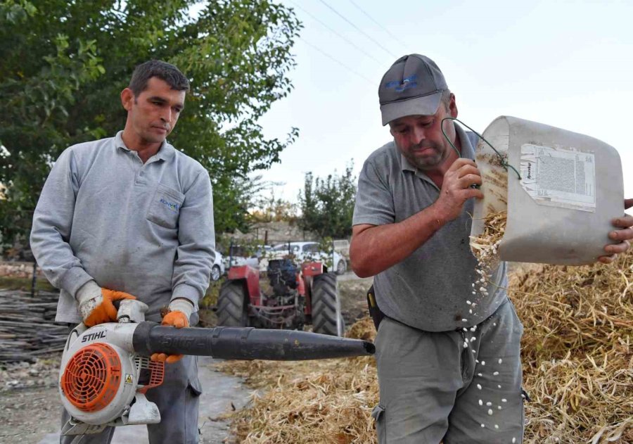 Yayladaki Şenlikler Yarbaşçandır Yayla Şenliği İle Devam Ediyor