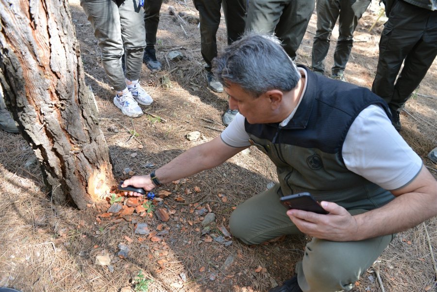 Orman Ürünleri Yenilikçi Barkod Sistemi ’orkod Uygulaması’ İle Takip Edilecek