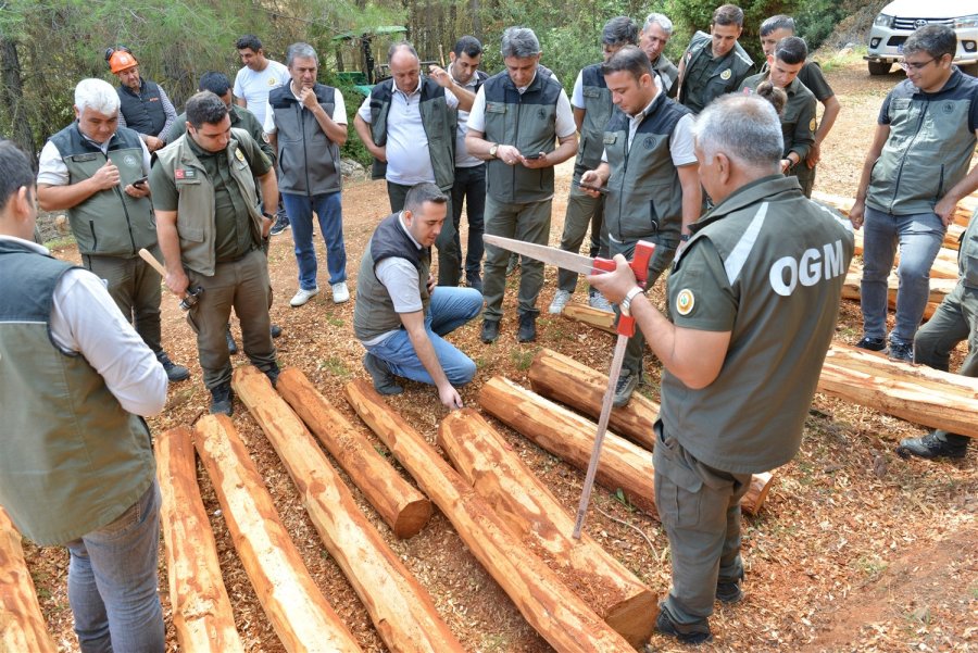 Orman Ürünleri Yenilikçi Barkod Sistemi ’orkod Uygulaması’ İle Takip Edilecek