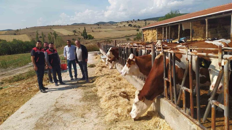 Hastalıktan Ari 200 İşletme Hedefiyle Çalışmalar Devam Ediyor