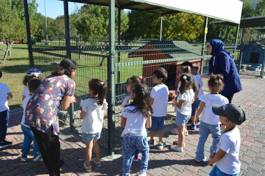 Konyaaltı Belediyesi, Miniklere Hayvan Sevgisi Aşılıyor