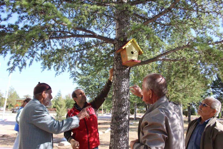 Karaman’da Kuş Evleri Ağaçlara Yerleştirildi