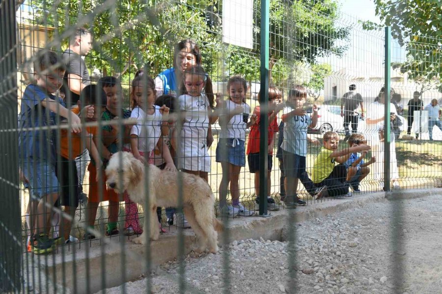 Çocuklar Hayvan Bakımevini Gezdi