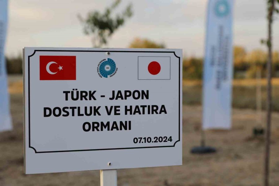 Nöhü’de “bir Asırlık Dostluk: Türk-japon İlişkisi” Paneli Düzenlendi