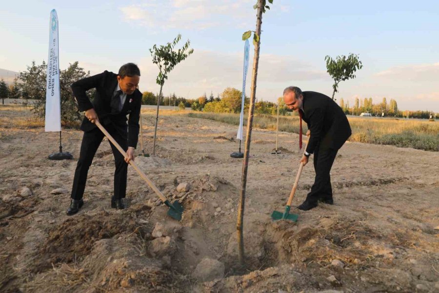 Nöhü’de “bir Asırlık Dostluk: Türk-japon İlişkisi” Paneli Düzenlendi