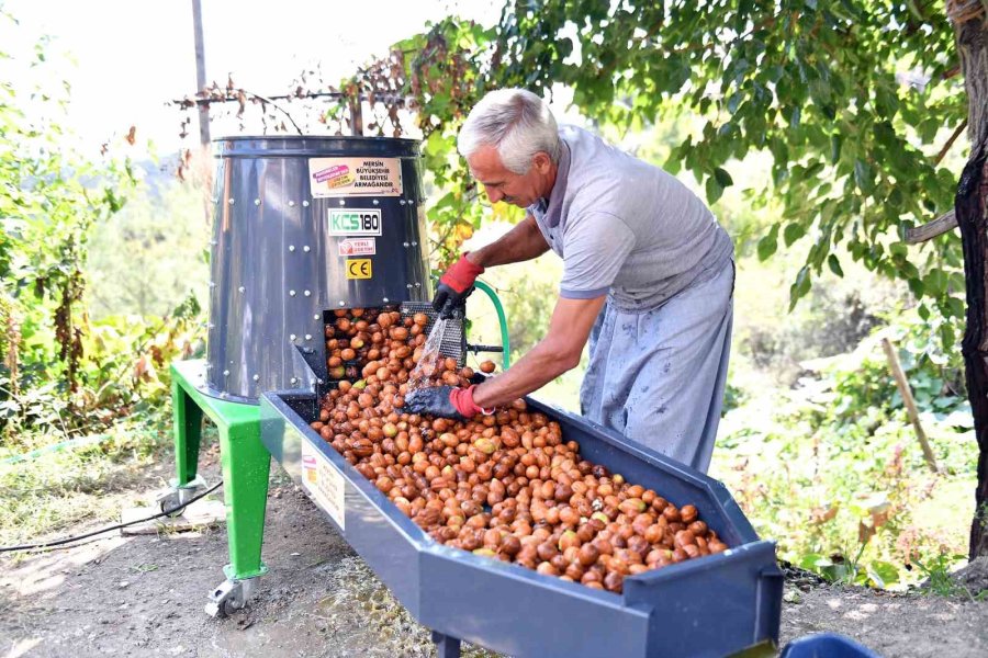 Belediyeden Üreticilere ’ceviz Soyma Makinesi’ Desteği