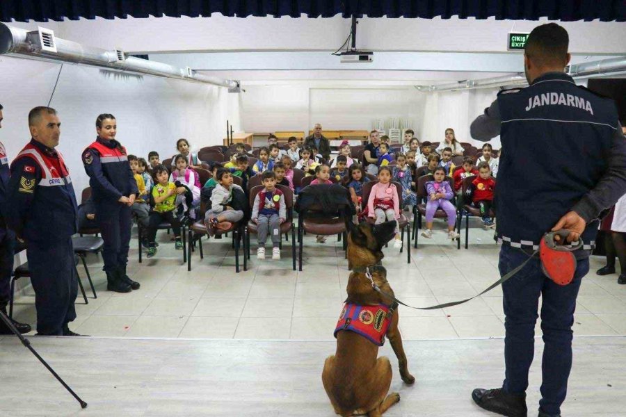 Jandarma Ekipleri Hayvanları Koruma Günüyle İlgili Etkinlik Gerçekleştirdi