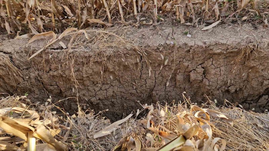 Mısır Tarlasında 14,5 Metre Genişliğinde Obruk Oluştu