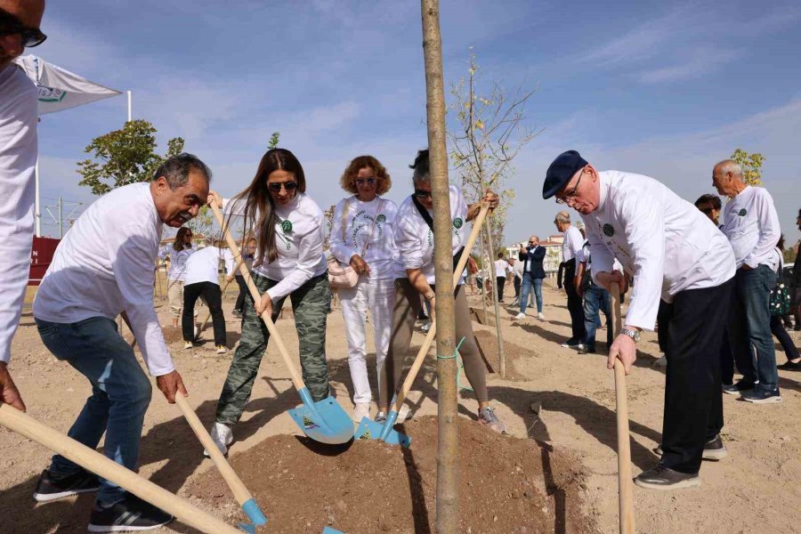 Odunpazarı’na 4 Bin 460 Metrekarelik Yeni Orman