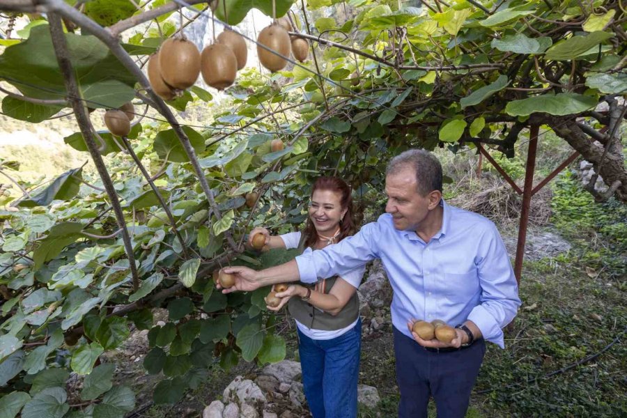 Başkan Seçer, ’kivi Şenliği’ne Katıldı