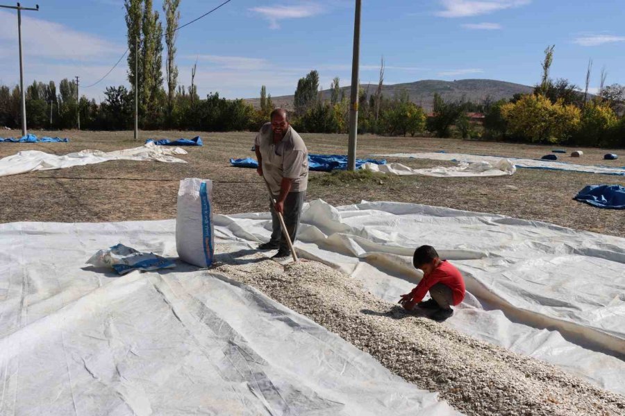 Tüccarın Fırsatçılığı Çiftçiyi Mağdur Ediyor