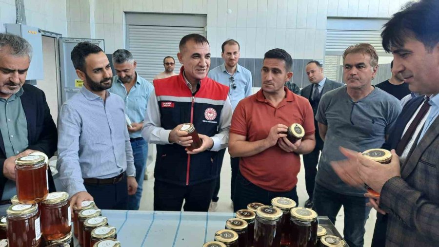 Bozkırda Yeni Hasat Ballar Paketlenmeye Başladı