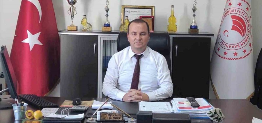 Mersin’de Bahçeden Sofralara Zeytinyağı Yolculuğu Başladı