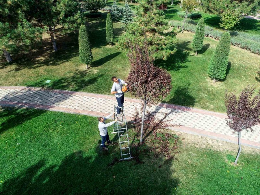 Meram’ın Park Ve Bahçelerine Kış Bakımı