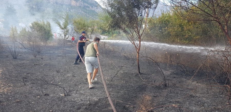 İş Yerinden Palmiyeye Sıçrayan Yangın Korkuttu