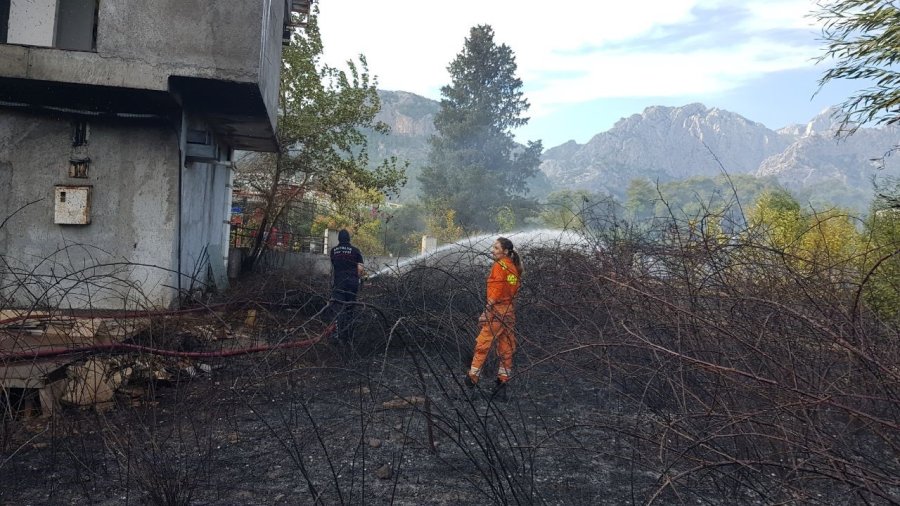 İş Yerinden Palmiyeye Sıçrayan Yangın Korkuttu