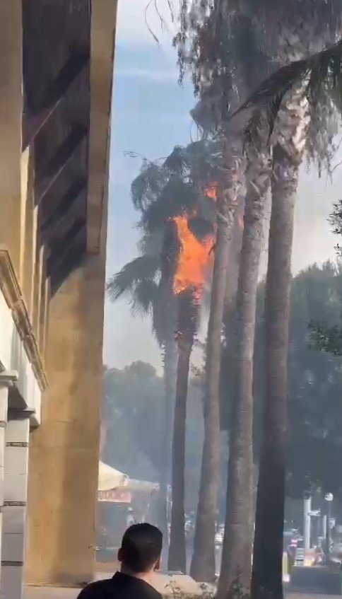 İş Yerinden Palmiyeye Sıçrayan Yangın Korkuttu