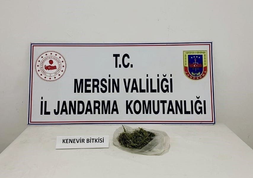 Mersin’de Uyuşturucu Serası Kuran Şüpheli Yakalandı