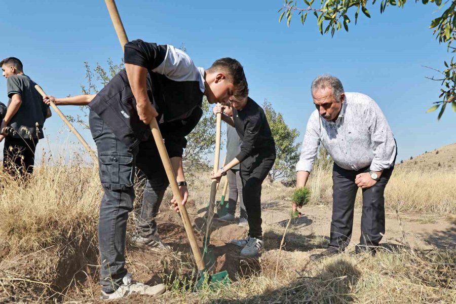 Başkan Yalçın: "diktiğiniz Fidanlar Dünyaya İyilik Olarak Yansıyacak"