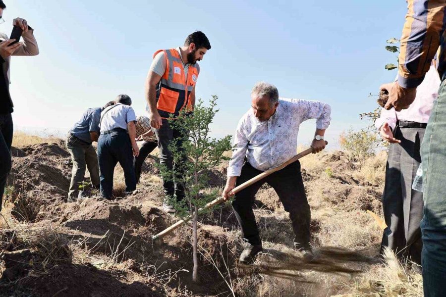 Başkan Yalçın: "diktiğiniz Fidanlar Dünyaya İyilik Olarak Yansıyacak"