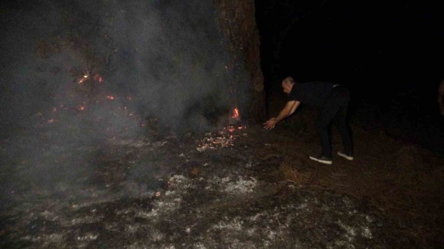 Manavgat’ta Korkutan Orman Yangını Büyümeden Söndürüldü