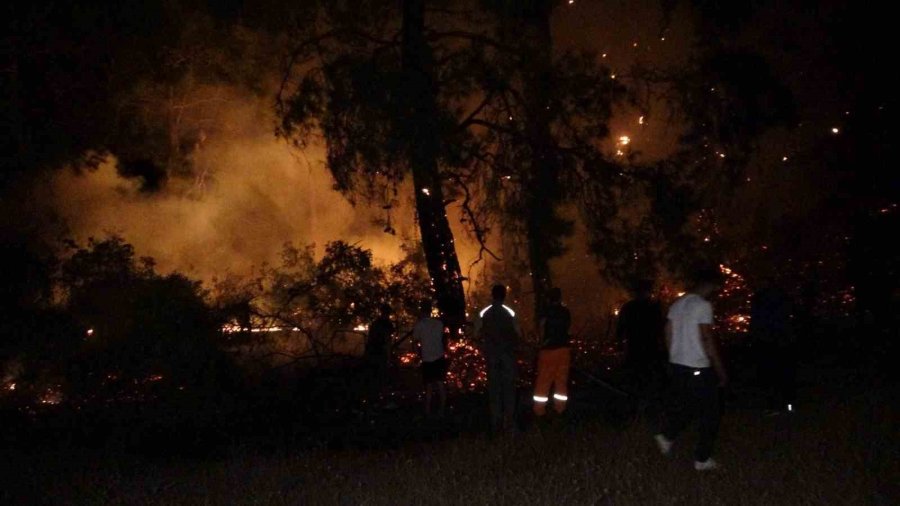 Manavgat’ta Korkutan Orman Yangını Büyümeden Söndürüldü