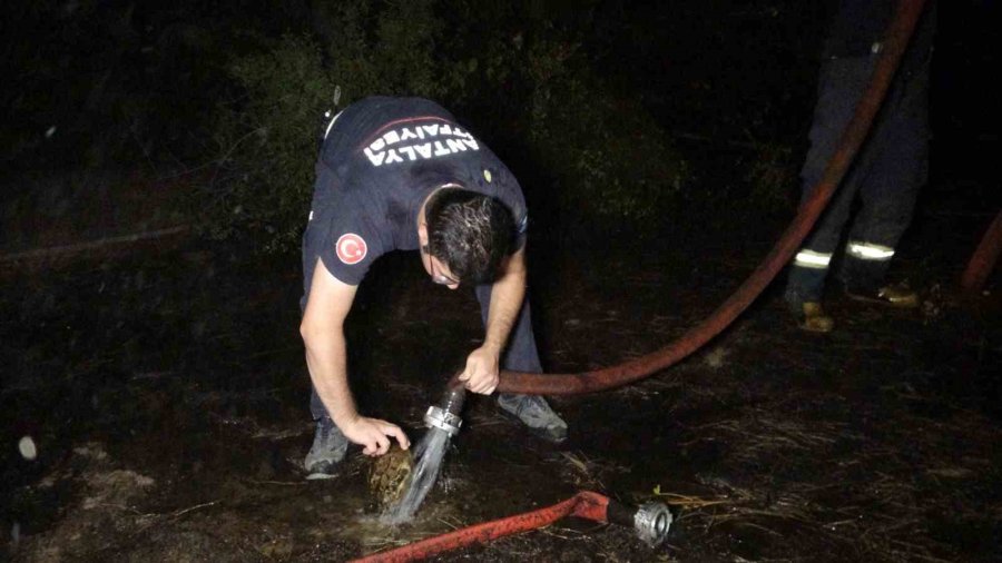 Manavgat’ta Korkutan Orman Yangını Büyümeden Söndürüldü