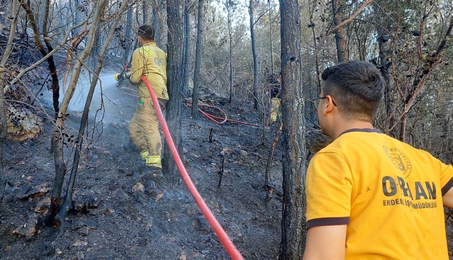 Mersin’de Orman Yangını Havadan Ve Karadan Müdahaleyle Söndürüldü