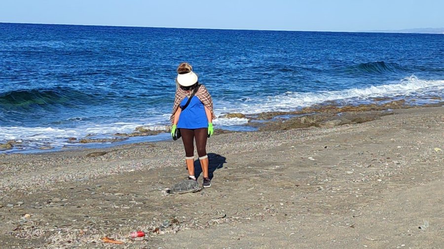 Alanya’da Son Bir Haftada İki Caretta Caretta Ölü Bulundu