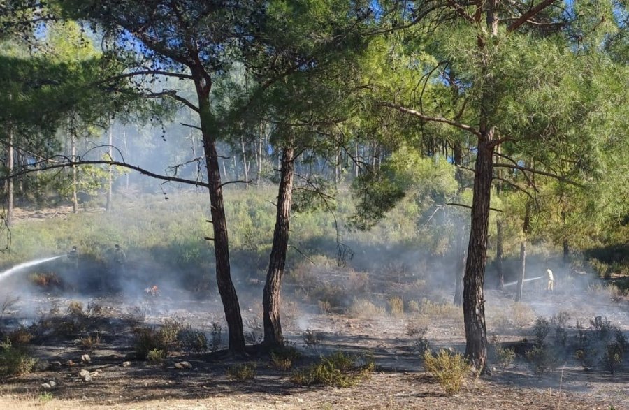 Mersin’de Vadide Çıkan Orman Yangını, Büyümeden Söndürüldü