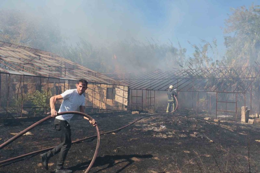 Antalya’da Sazlık Yangını: 3 Sera Zarar Gördü