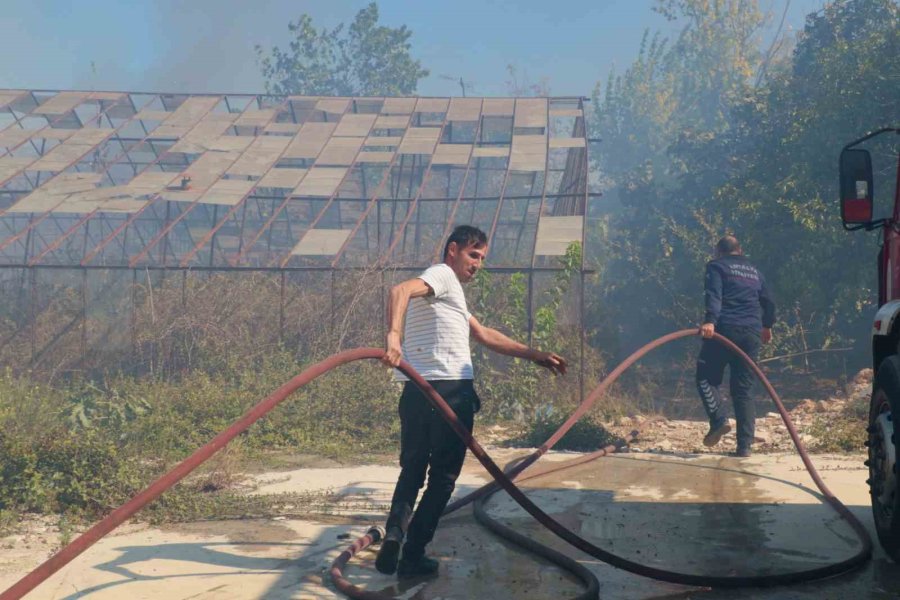 Antalya’da Sazlık Yangını: 3 Sera Zarar Gördü