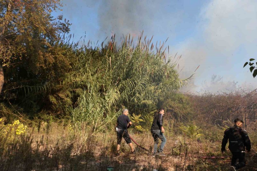 Antalya’da Sazlık Yangını: 3 Sera Zarar Gördü