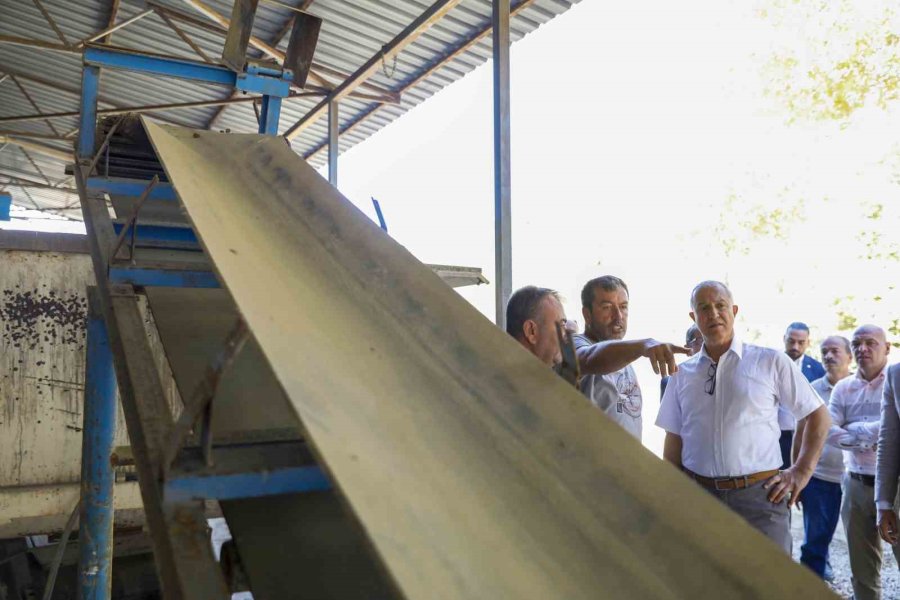 Bordür Ve Parke Üretim Tesisi Faaliyete Geçiyor