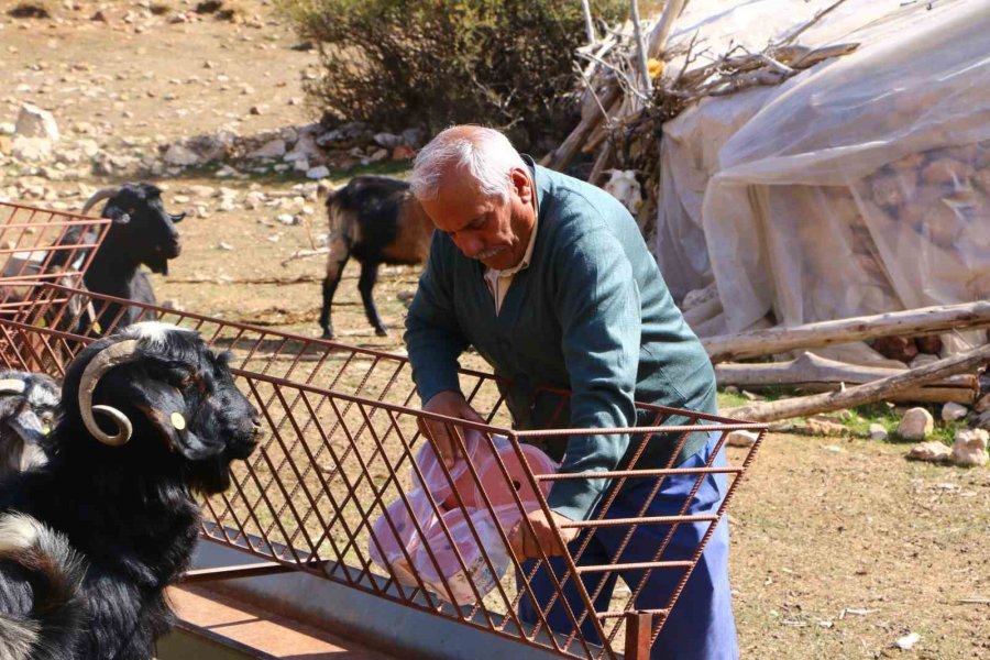 Elmalı’da Çoban Haritası Projesi Tamamladı