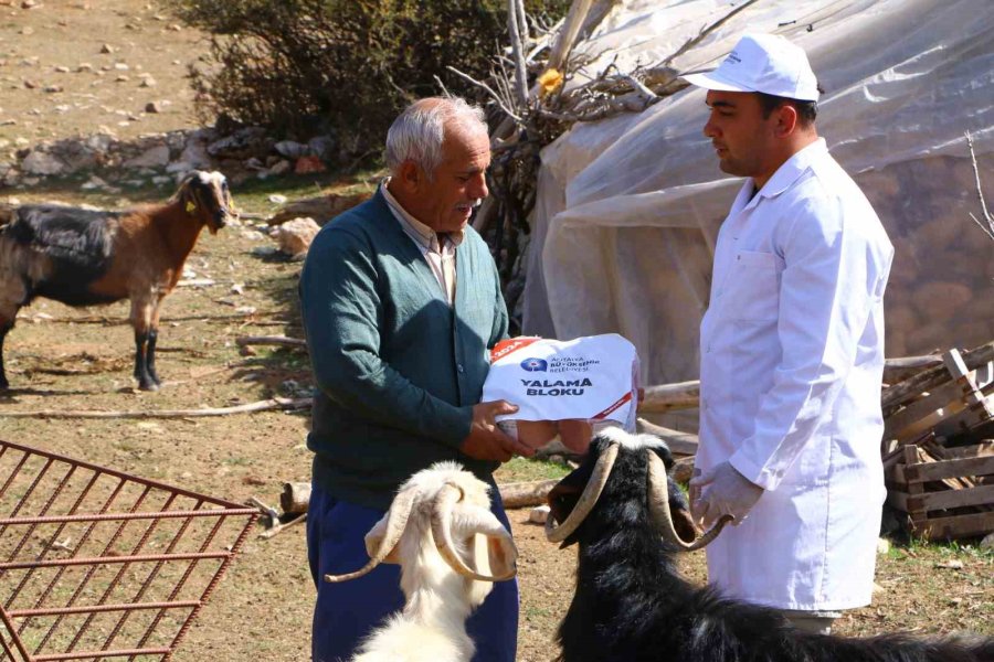 Elmalı’da Çoban Haritası Projesi Tamamladı