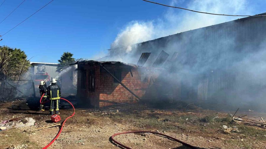 Palet Üretim Tesisinde Korkutan Yangın: 1 Kişi Dumandan Etkilendi