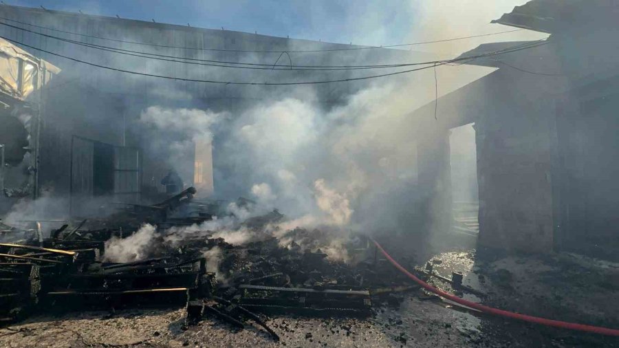 Palet Üretim Tesisinde Korkutan Yangın: 1 Kişi Dumandan Etkilendi