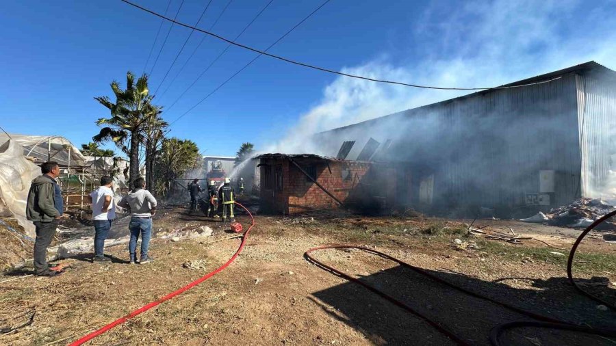 Palet Üretim Tesisinde Korkutan Yangın: 1 Kişi Dumandan Etkilendi