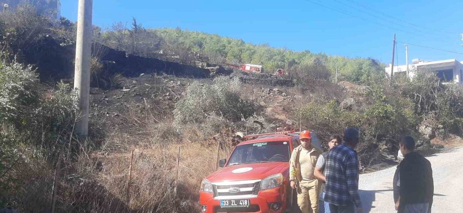 Mersin’de Zeytinlik Alanda Yangın