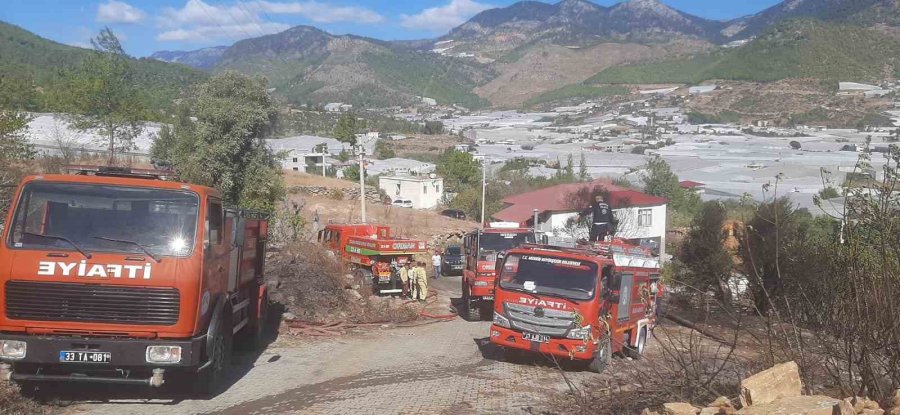 Mersin’de Zeytinlik Alanda Yangın