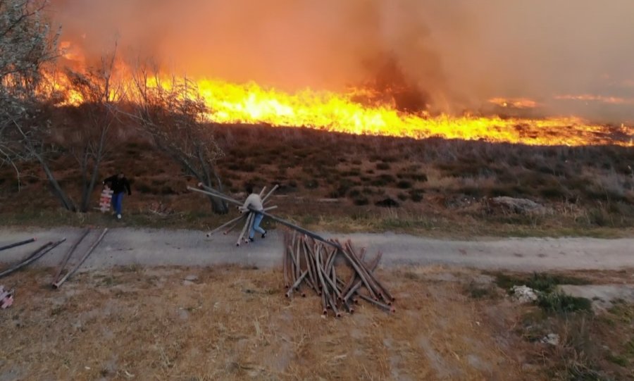 400 Dönümlük Mısır Tarlası Ve Merada Korkutan Yangın